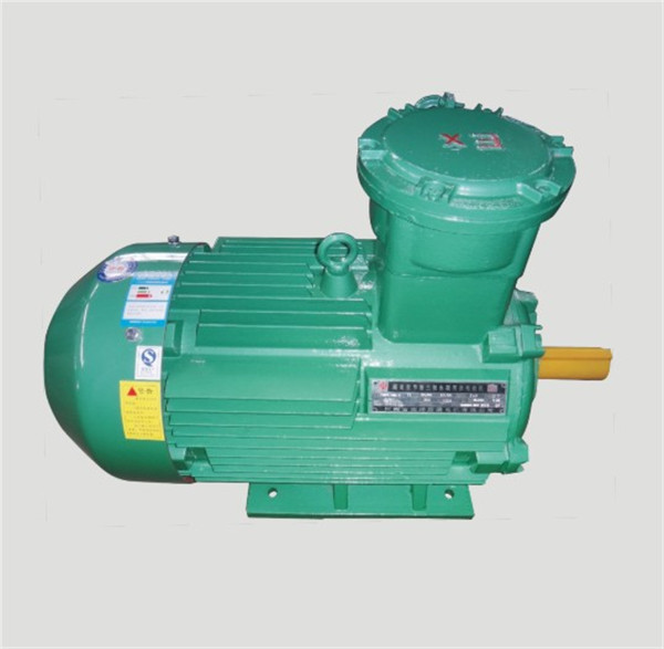 粉塵防爆電機(jī) 粉塵防爆電機(jī)