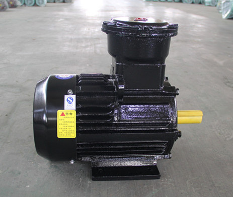 IIBT4&nbsp;explosion-proof&nbsp;motor&nbsp;fo
